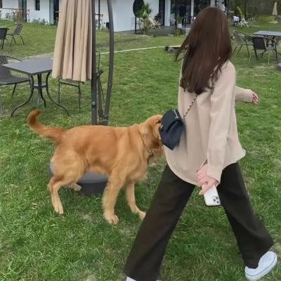 烛影危林